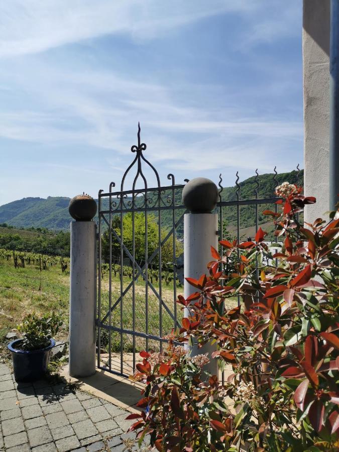Weingut Amlinger&Sohn Apartment Neef Exterior foto